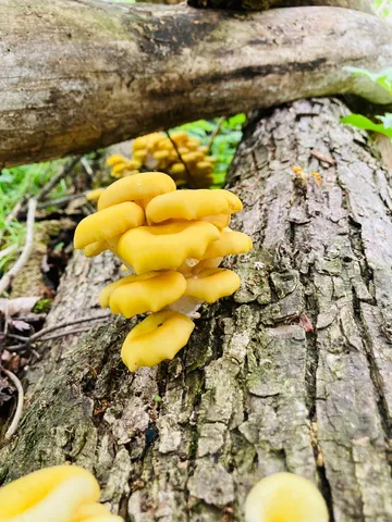 $1,050,000 | 36415 Homer Valley Lane, Winona, MN 55987