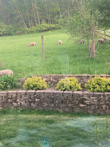 $1,050,000 | 36415 Homer Valley Lane, Winona, MN 55987