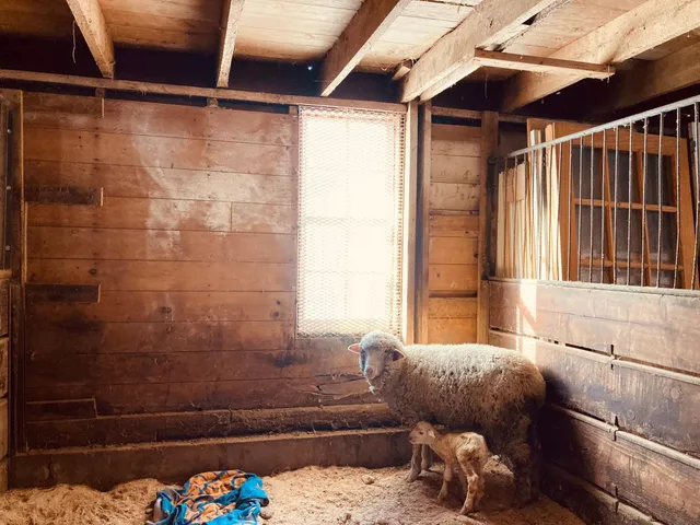 $1,050,000 | 36415 Homer Valley Lane, Winona, MN 55987