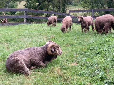 $1,050,000 | 36415 Homer Valley Lane, Winona, MN 55987