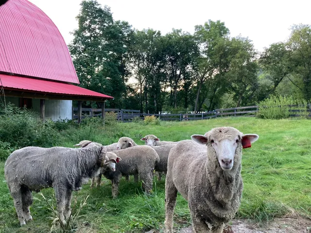 $1,050,000 | 36415 Homer Valley Lane, Winona, MN 55987