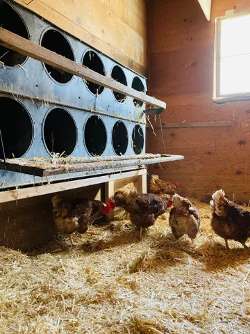 $1,050,000 | 36415 Homer Valley Lane, Winona, MN 55987