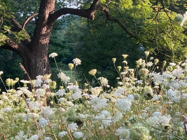 $1,050,000 | 36415 Homer Valley Lane, Winona, MN 55987