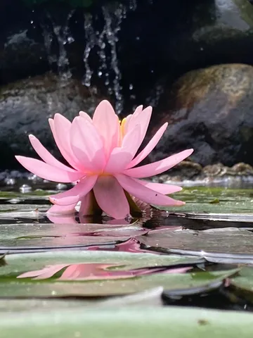 $1,050,000 | 36415 Homer Valley Lane, Winona, MN 55987