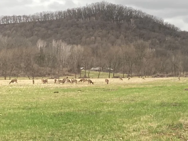 $1,050,000 | 36415 Homer Valley Lane, Winona, MN 55987