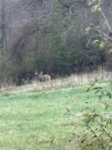 $1,050,000 | 36415 Homer Valley Lane, Winona, MN 55987