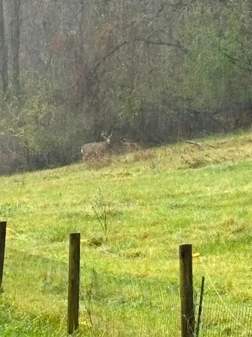 $1,050,000 | 36415 Homer Valley Lane, Winona, MN 55987