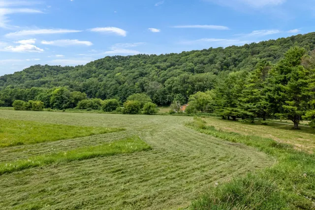 $1,050,000 | 36415 Homer Valley Lane, Winona, MN 55987