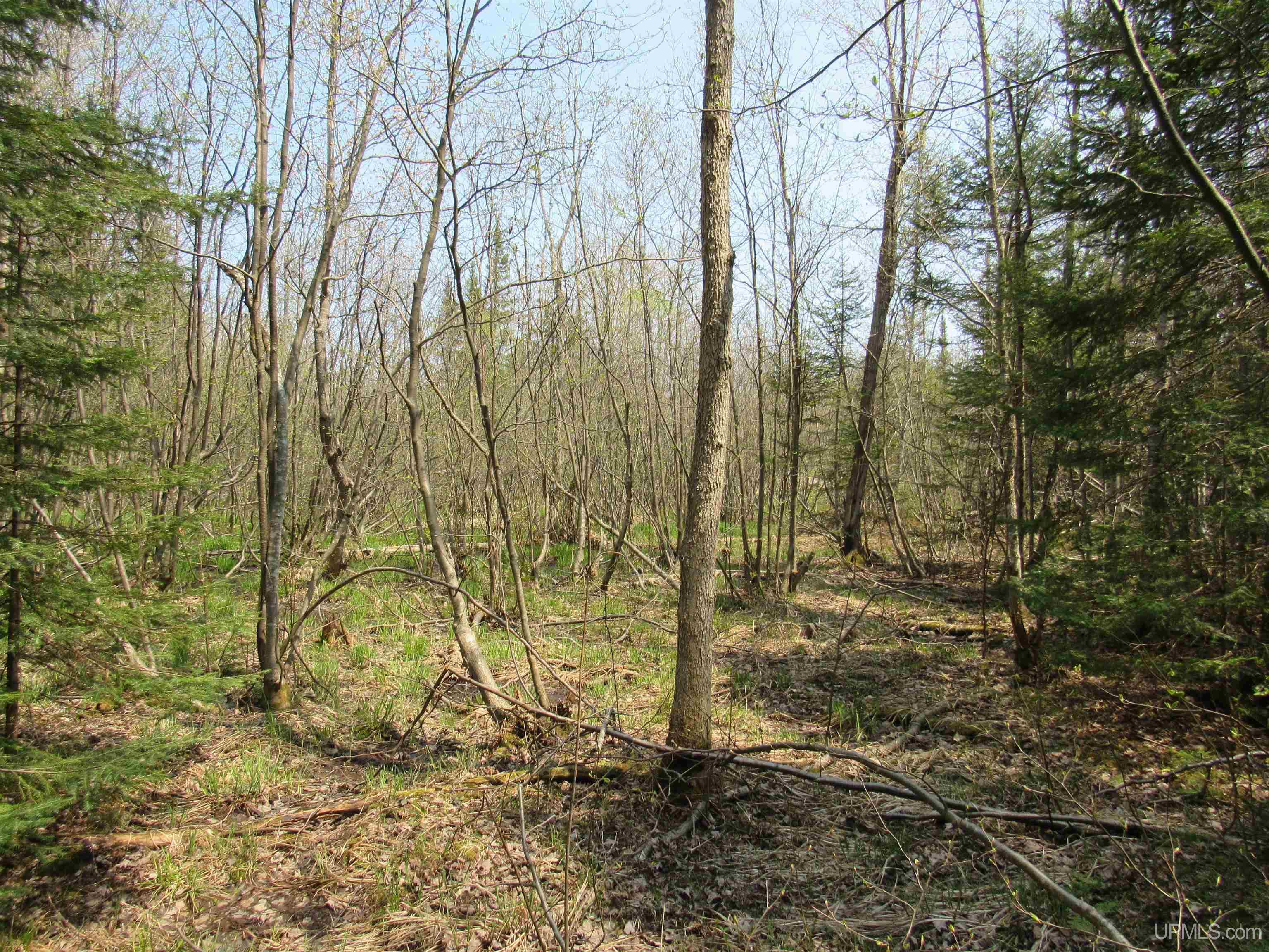 Tbd Deerton-sand Lake Road Deerton, MI 49822 - Photo 14 of 23