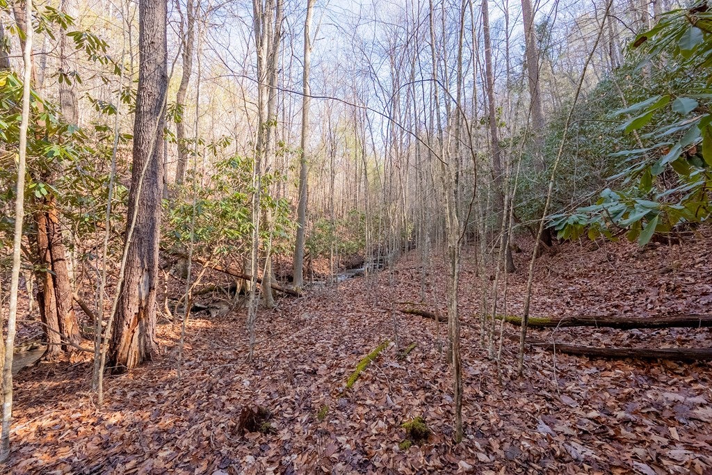 485 Grouse Ridge Road Max Meadows, VA 24360 - Photo 48 of 76 Gallery Image 48