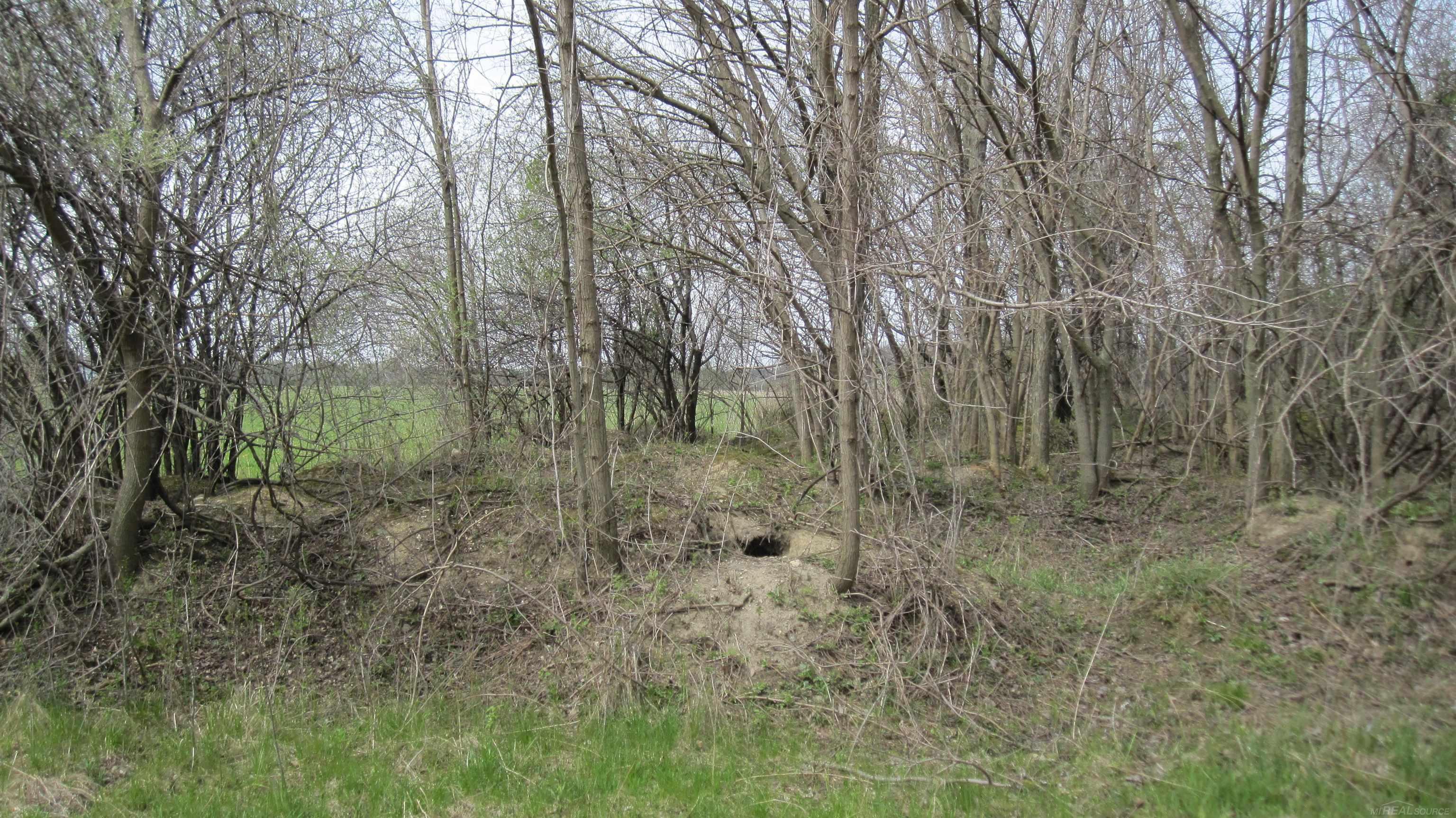 1-vl Jeddo Road Avoca, MI 48006 - Photo 12 of 18