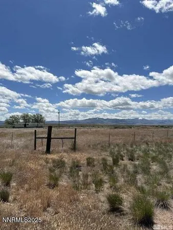 a view of dirt yard with a tree