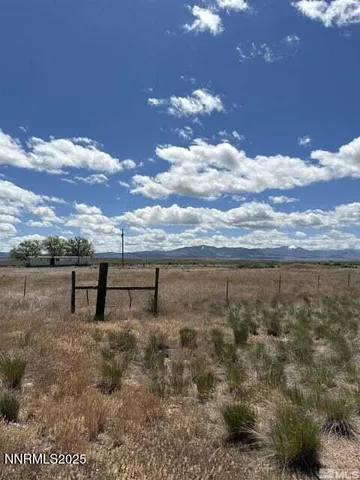 a view of dirt yard with a tree