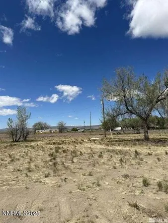 a view of a dry yard