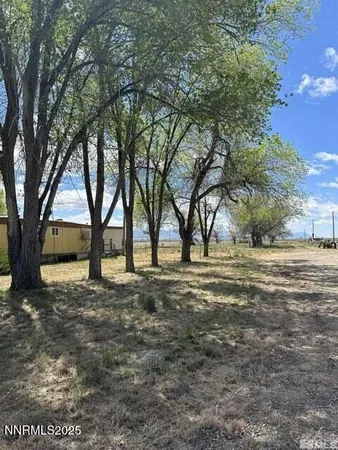 a view of a yard