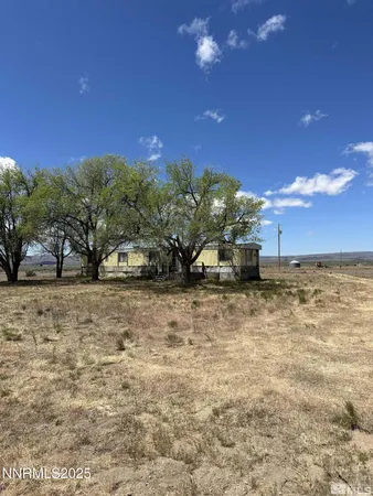 a view of a yard with a tree