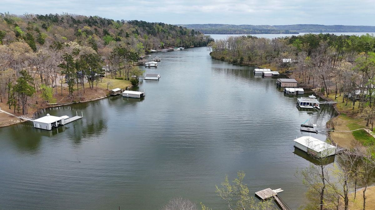 150 Turley Lane Counce, TN 38326 - Photo 3 of 37 an aerial view of residential house with outdoor space and lake view