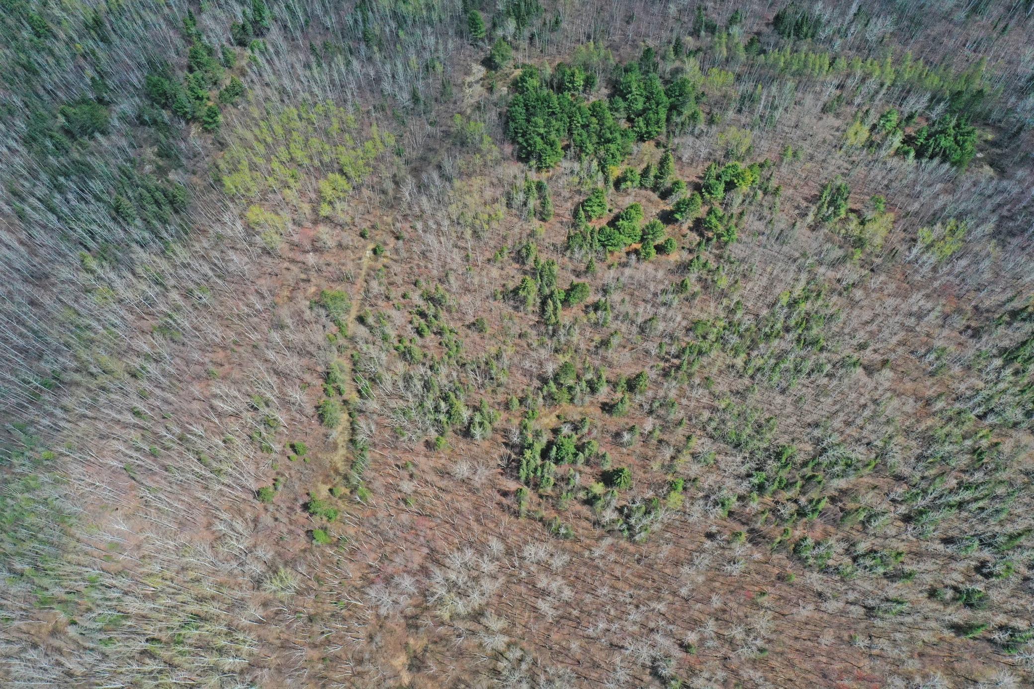 4268 Crane Lake Road Orr, MN 55771 - Photo 7 of 25