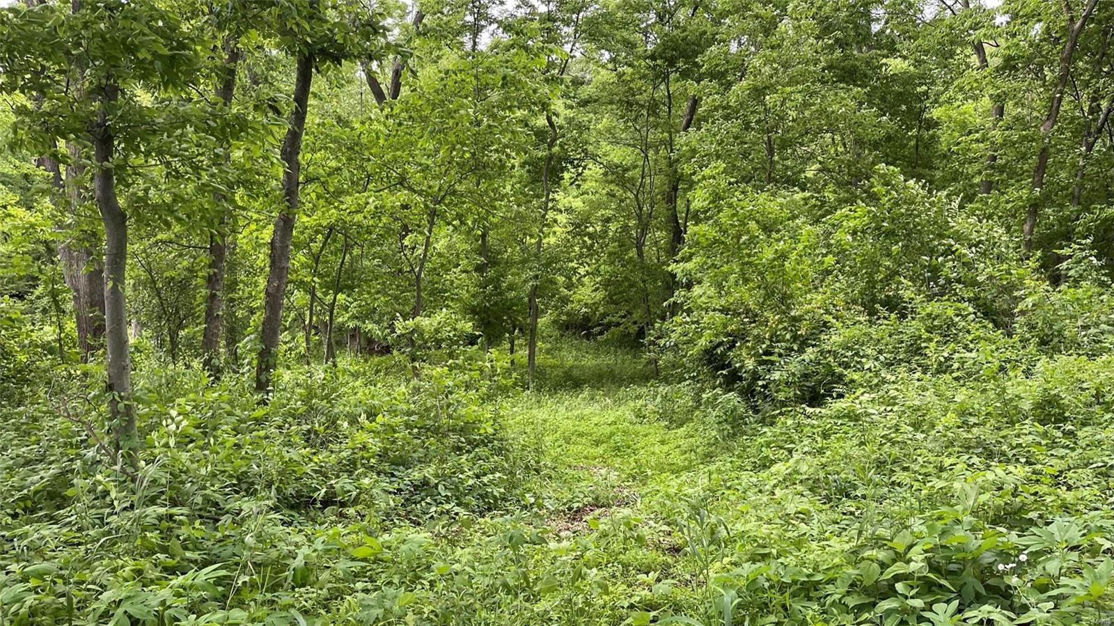 9381 Prairie Ridge Road Walsh, IL 62297 - Photo 44 of 61