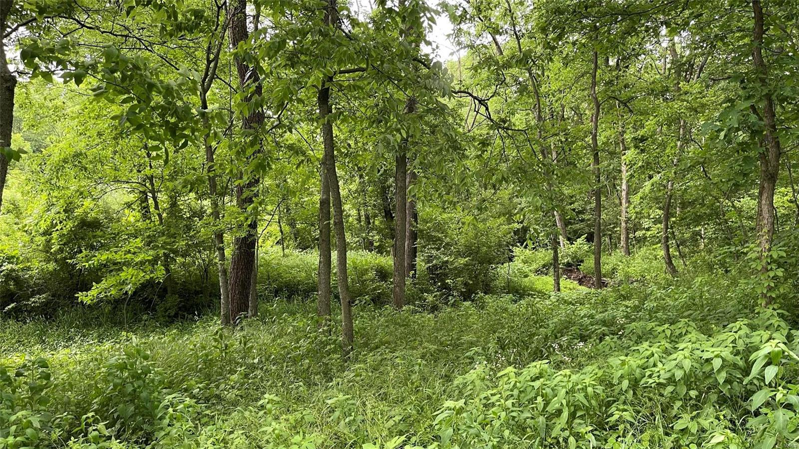 9381 Prairie Ridge Road Walsh, IL 62297 - Photo 50 of 61