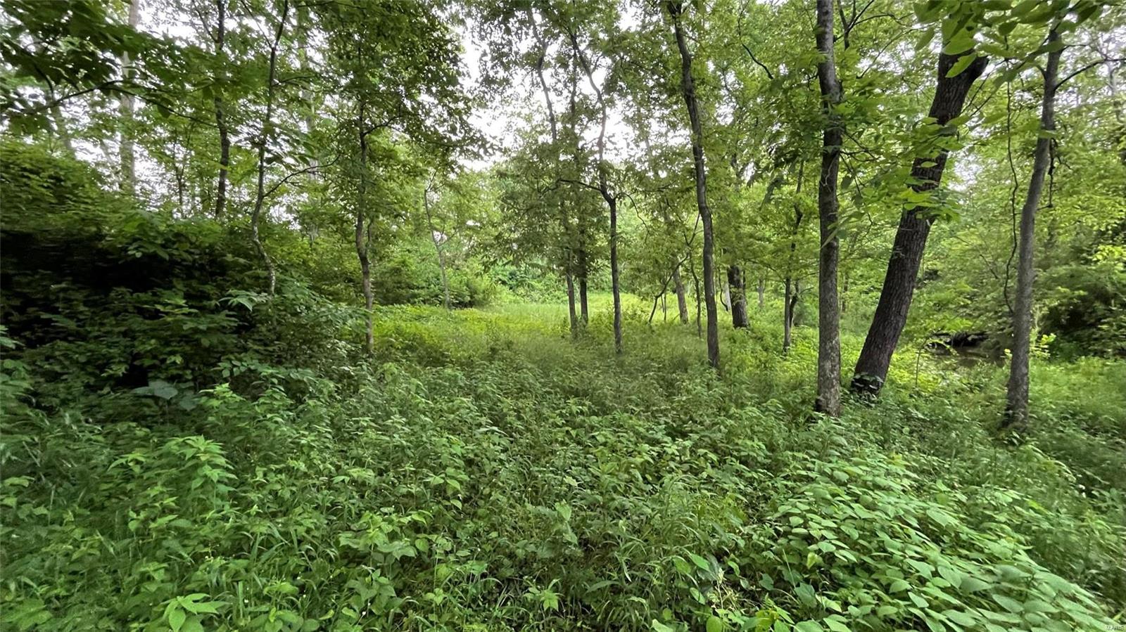 9381 Prairie Ridge Road Walsh, IL 62297 - Photo 51 of 61