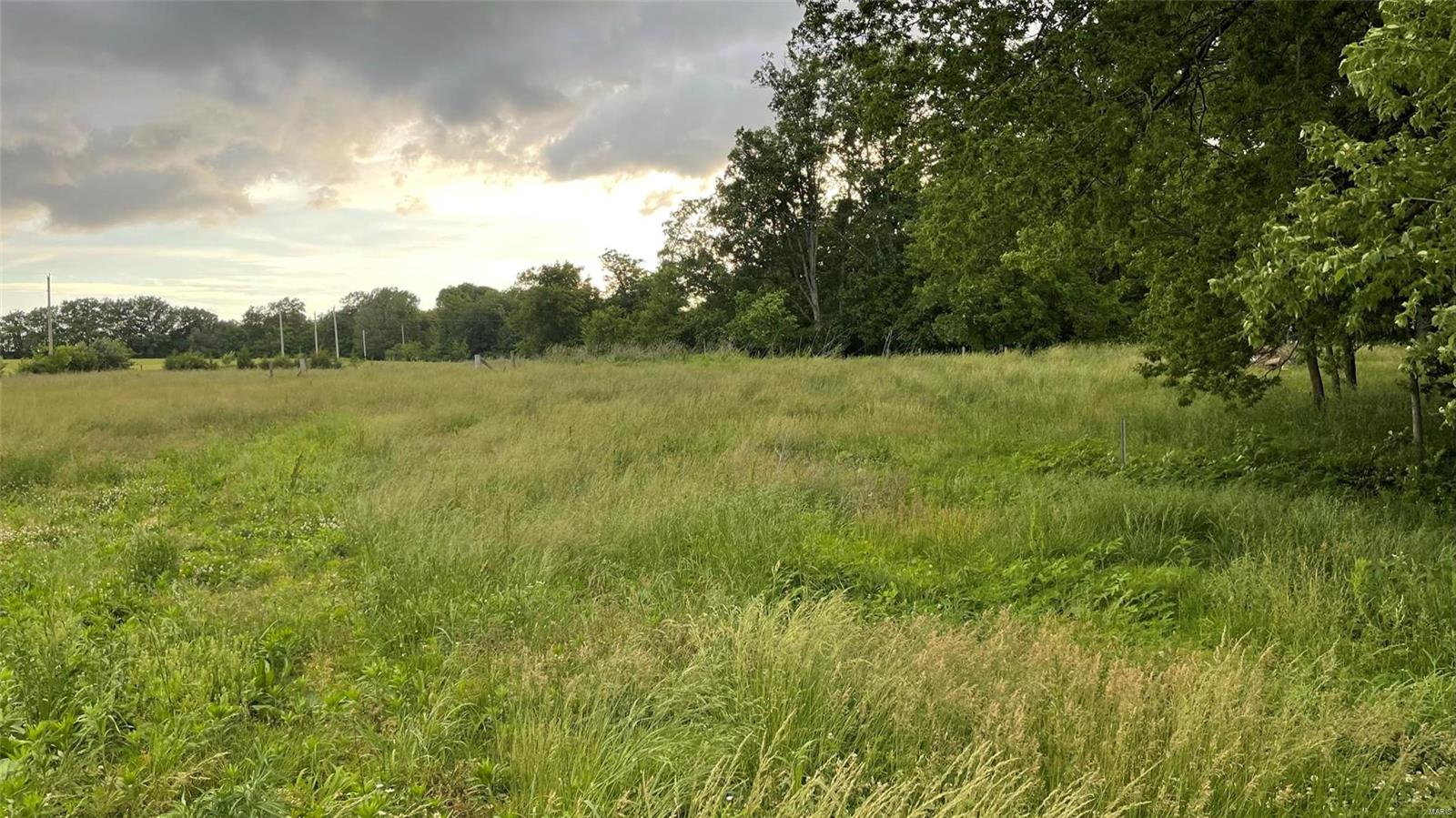 9381 Prairie Ridge Road Walsh, IL 62297 - Photo 54 of 61