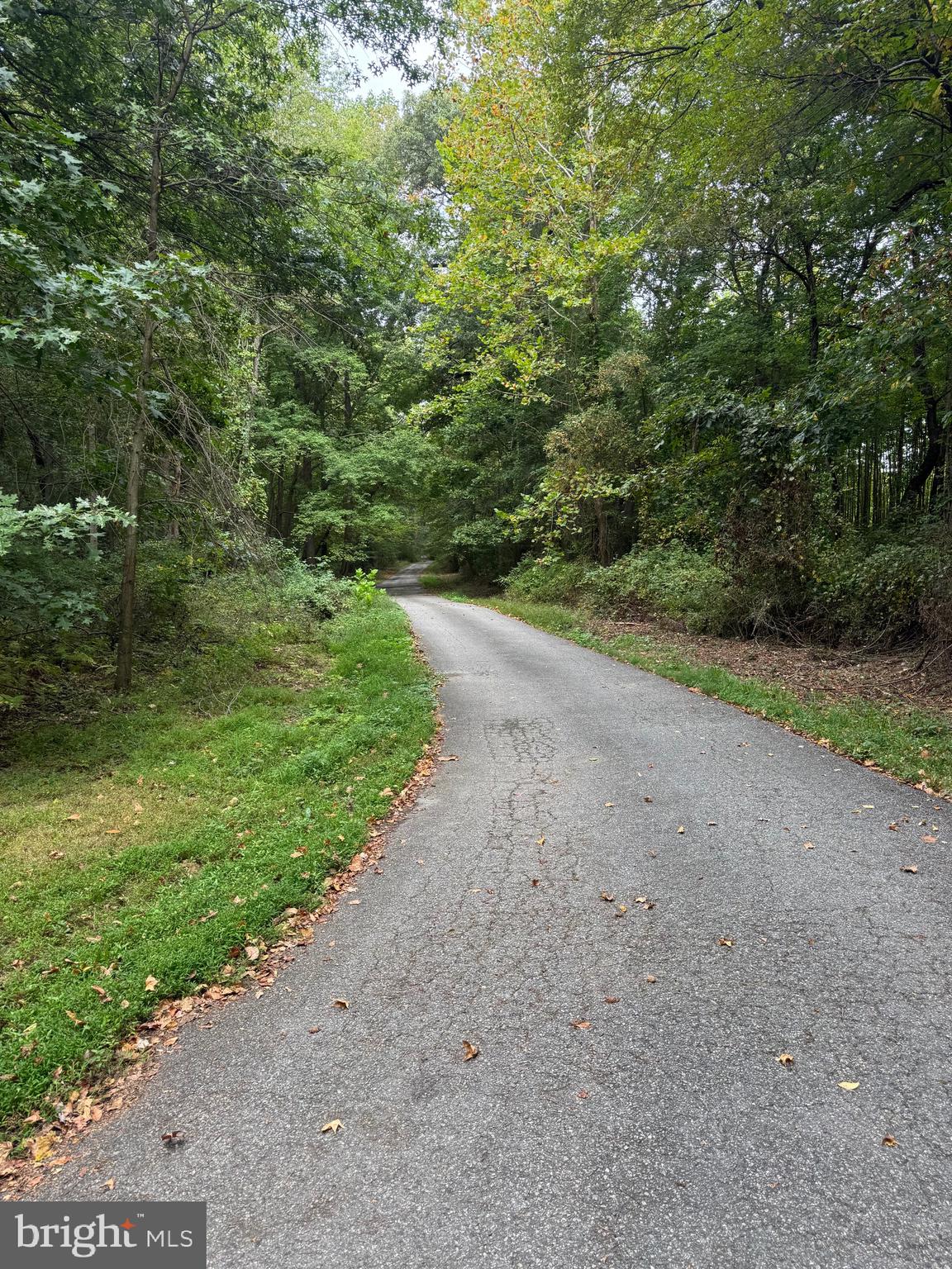 0 Scotland Point Road Elkton, MD 21921 - Photo 27 of 63 Gallery Image 27