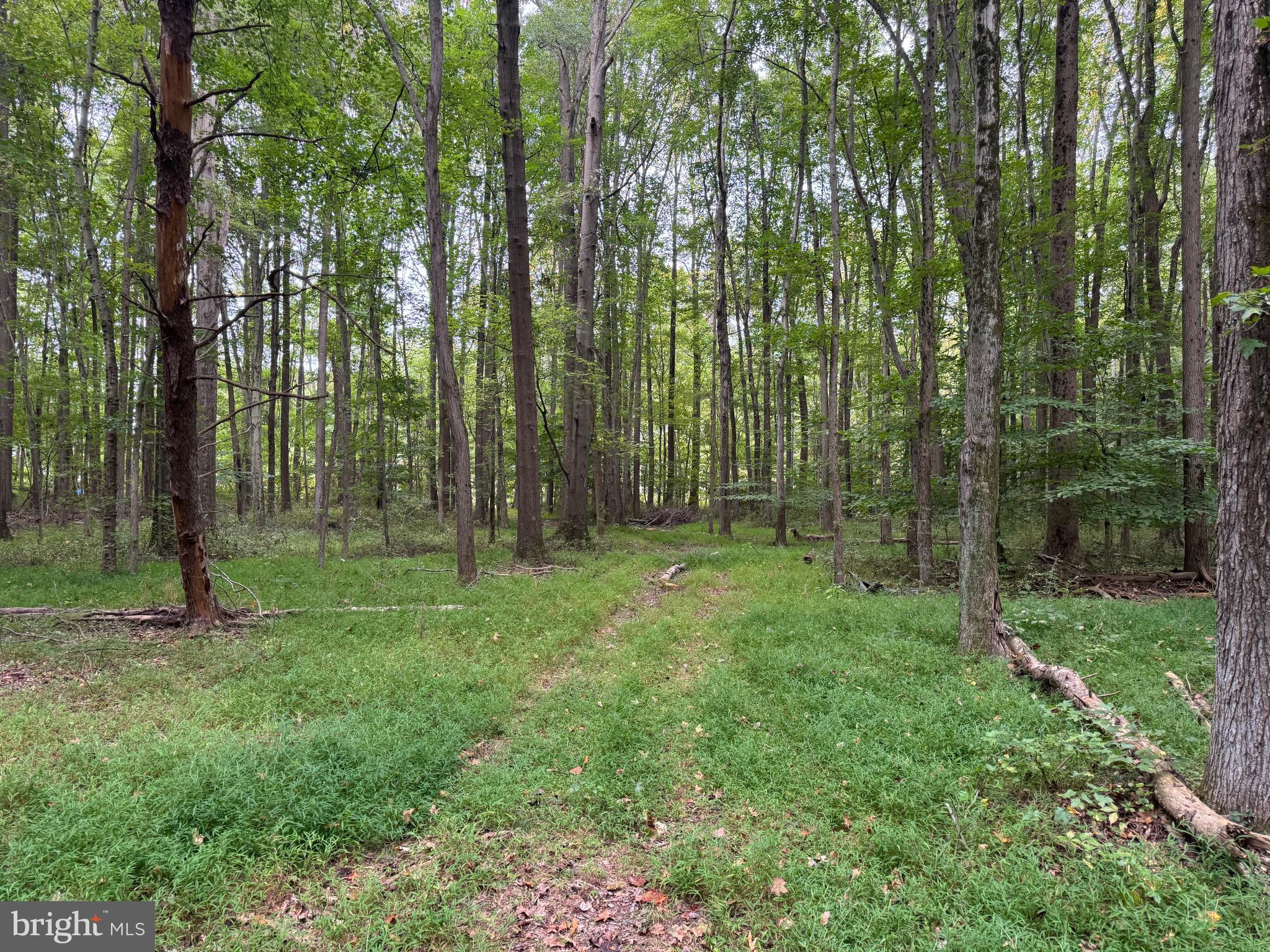 0 Scotland Point Road Elkton, MD 21921 - Photo 43 of 63 Gallery Image 43