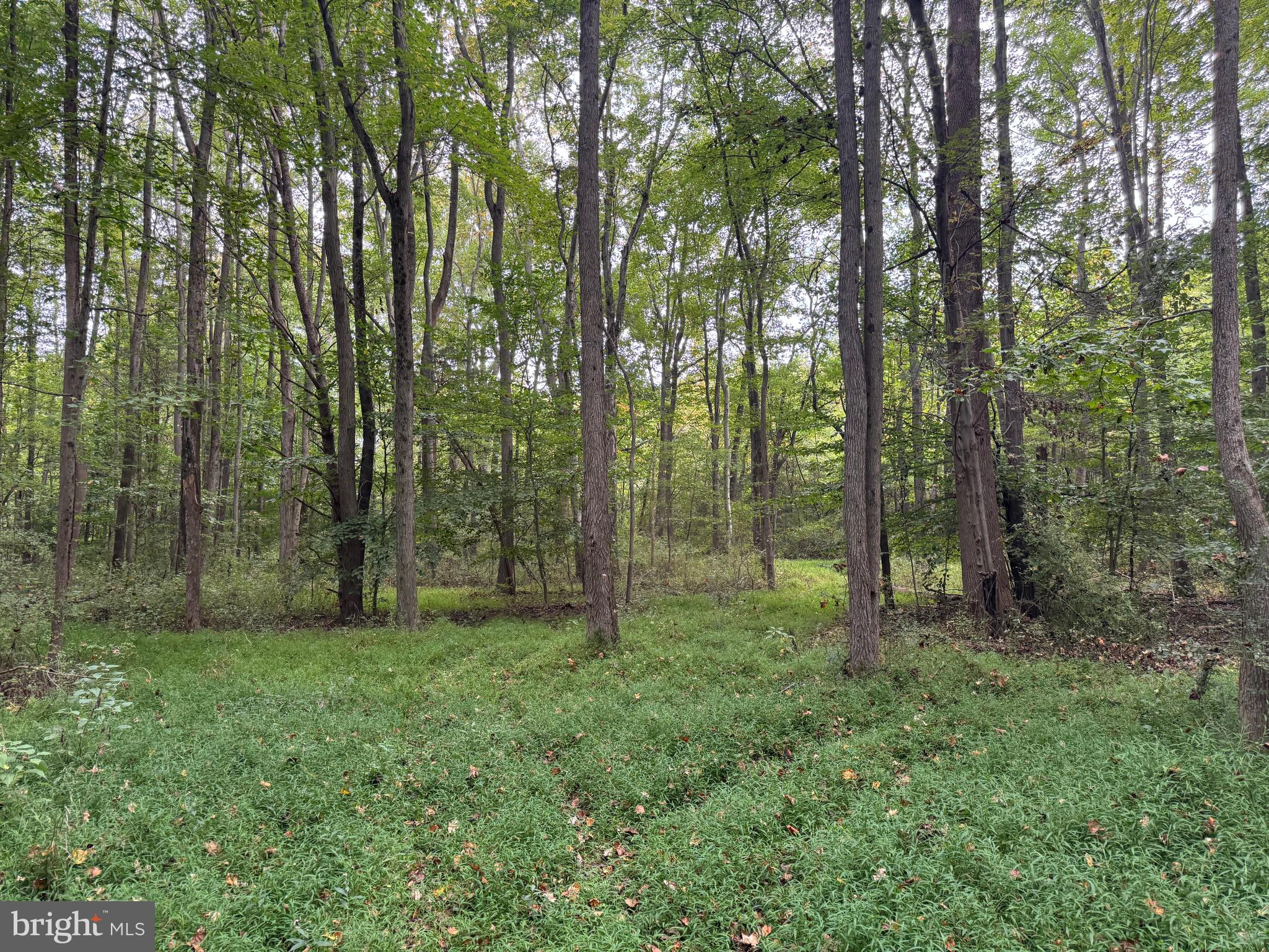 0 Scotland Point Road Elkton, MD 21921 - Photo 46 of 63 Gallery Image 46