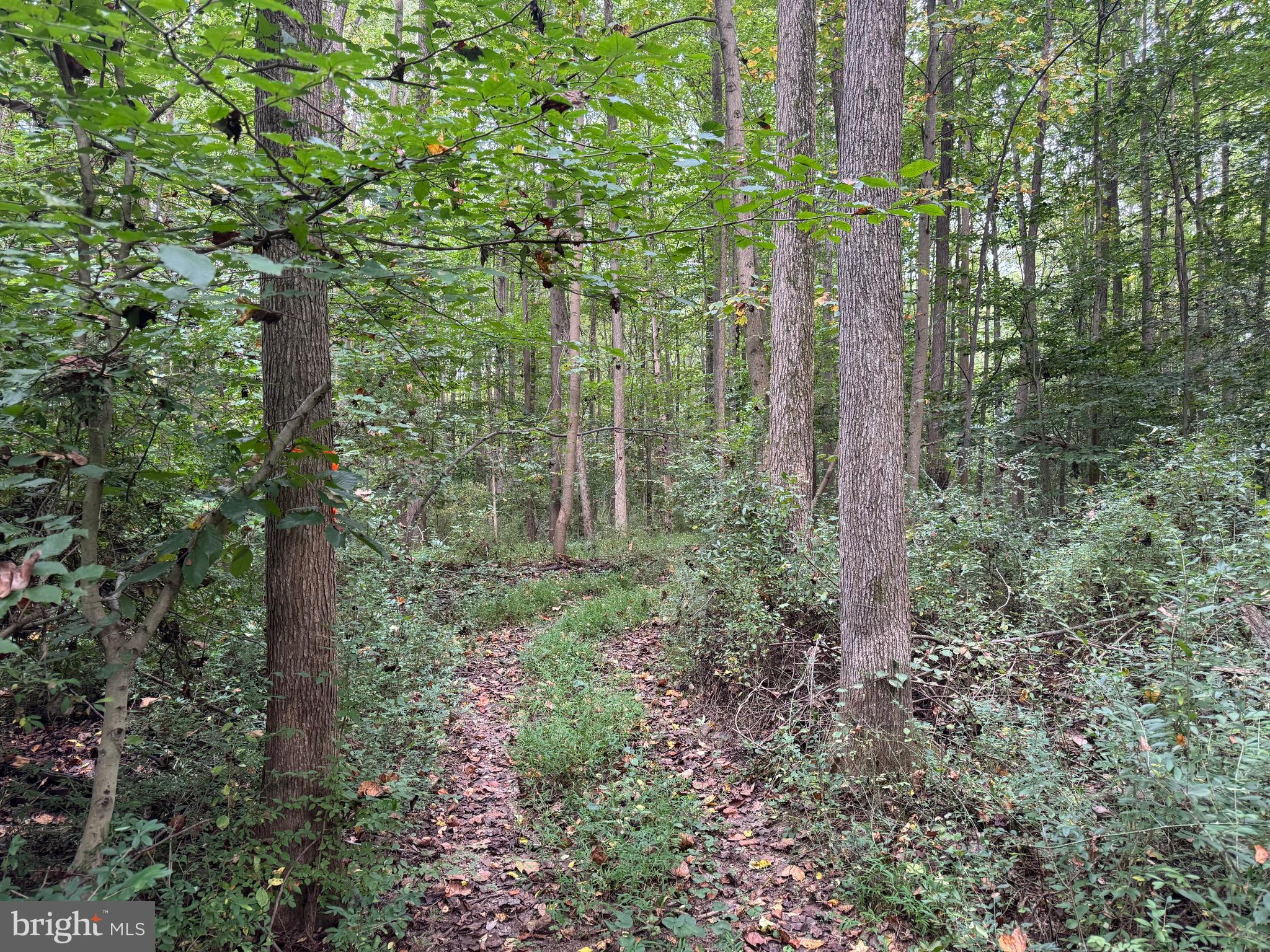 0 Scotland Point Road Elkton, MD 21921 - Photo 50 of 63 Gallery Image 50