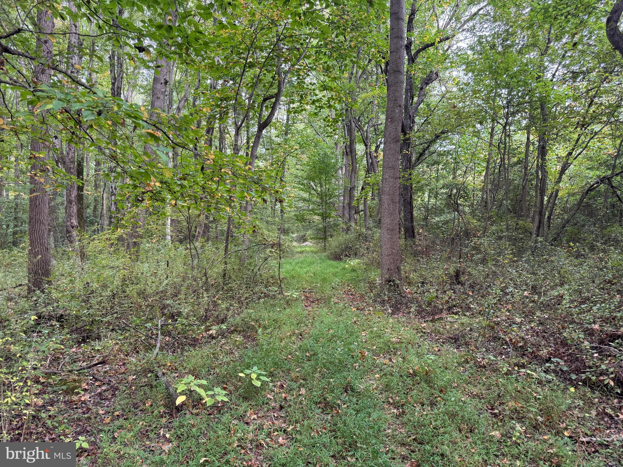 0 Scotland Point Road Elkton, MD 21921 - Photo 55 of 63 Gallery Image 55