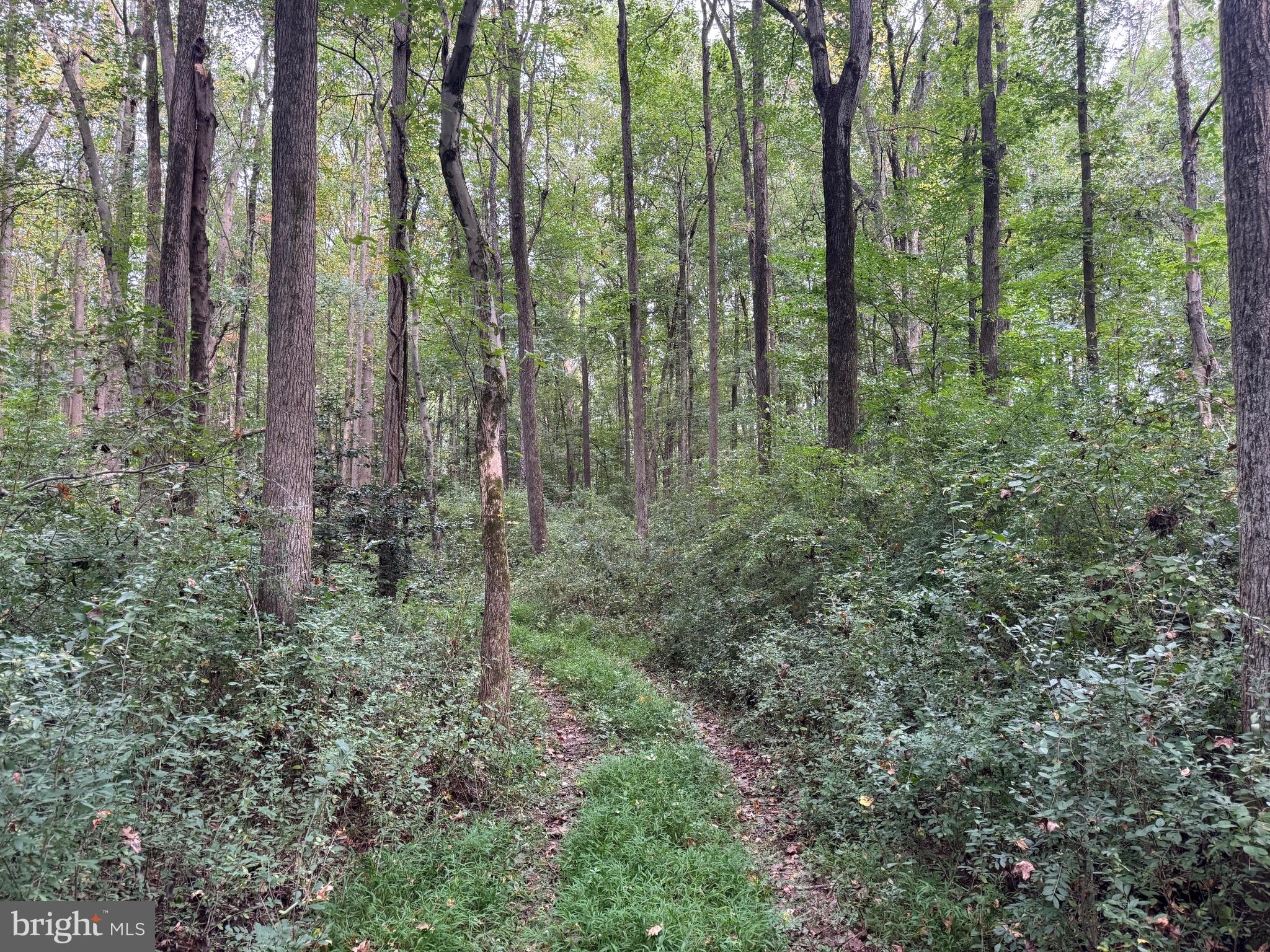 0 Scotland Point Road Elkton, MD 21921 - Photo 59 of 63 Gallery Image 59