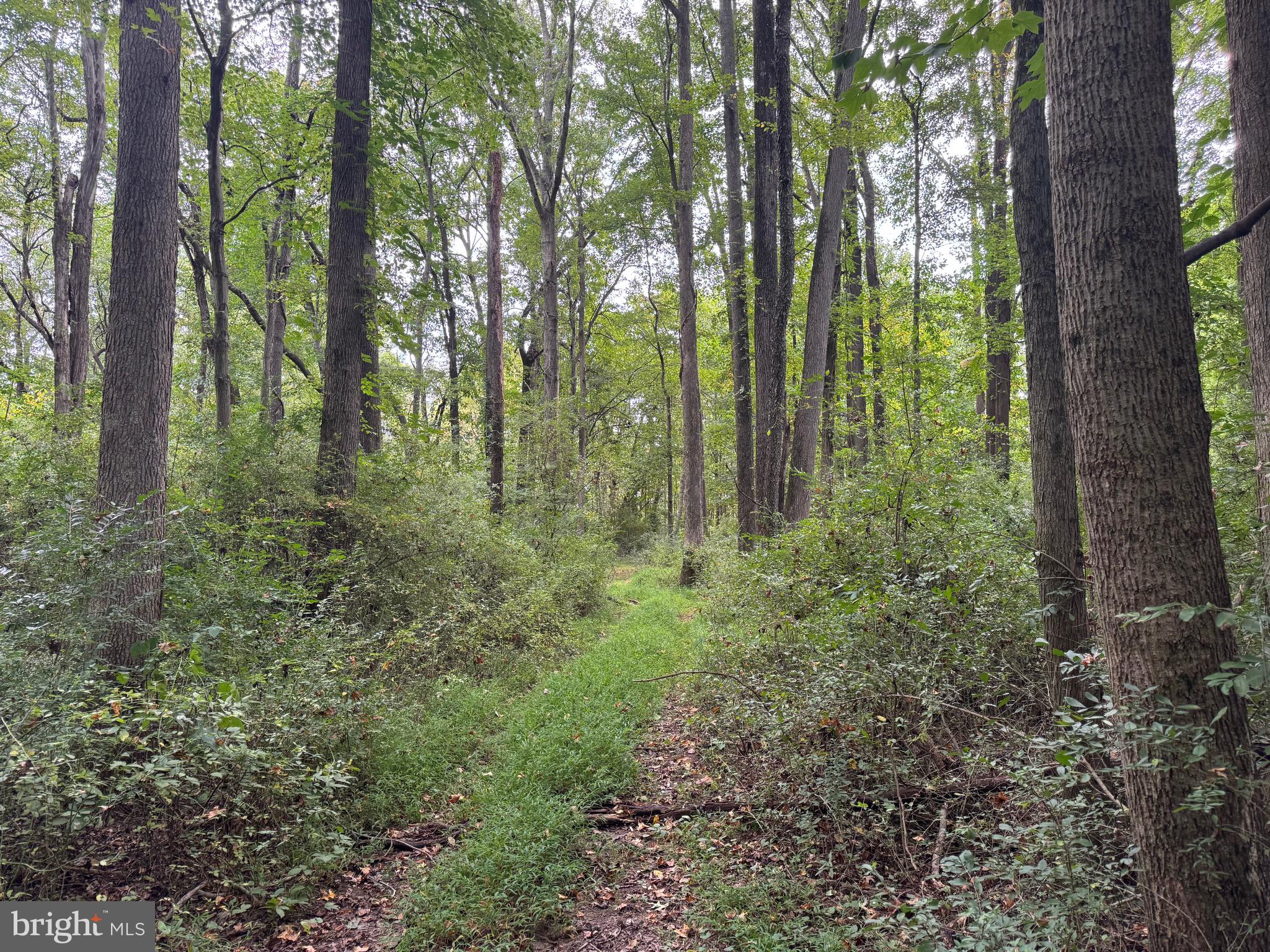 0 Scotland Point Road Elkton, MD 21921 - Photo 60 of 63 Gallery Image 60
