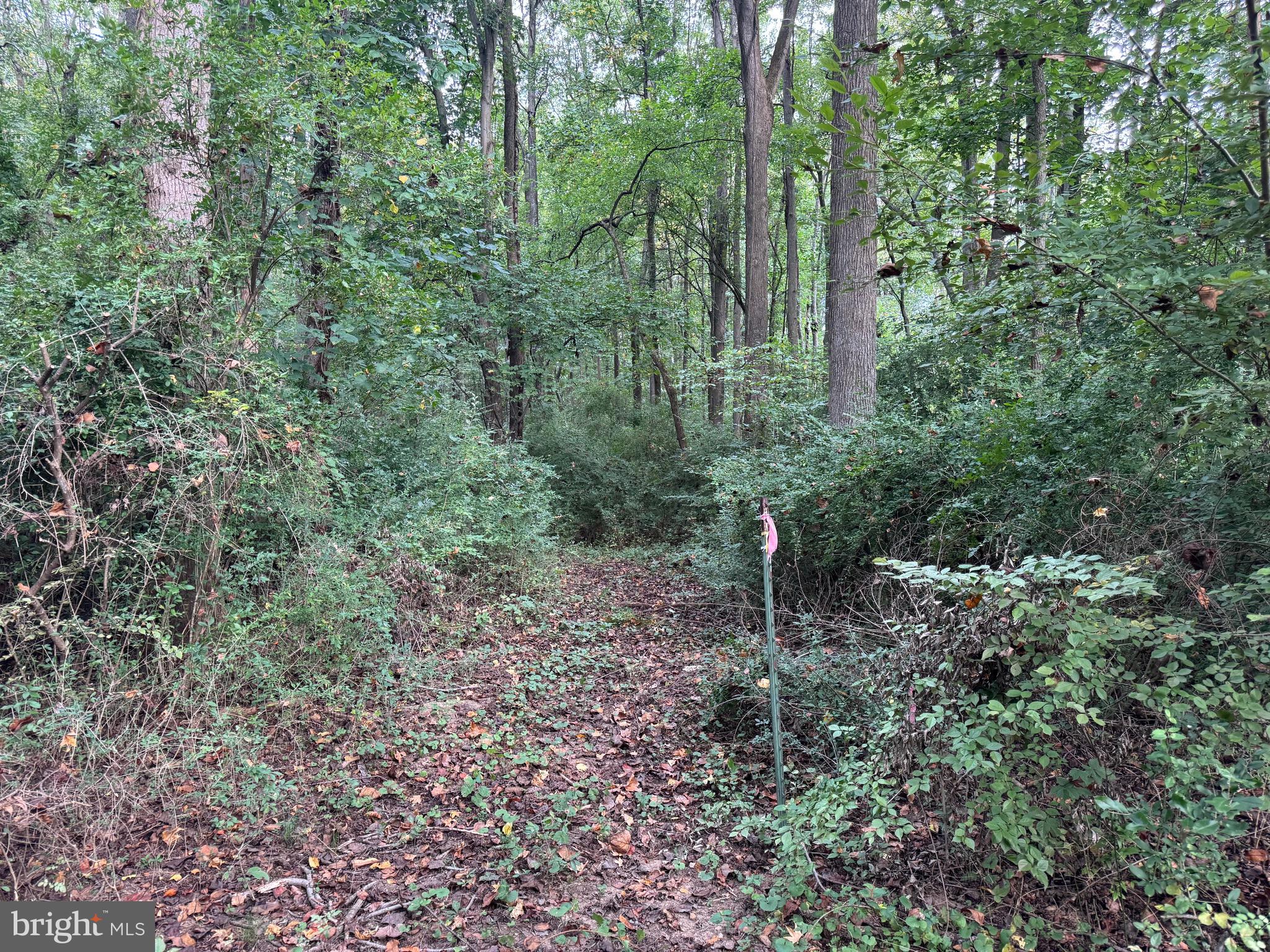 0 Scotland Point Road Elkton, MD 21921 - Photo 61 of 63 Gallery Image 61