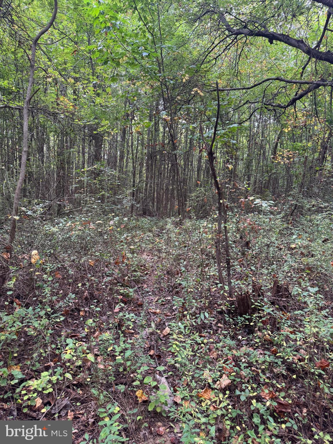 0 Scotland Point Road Elkton, MD 21921 - Photo 62 of 63 Gallery Image 62