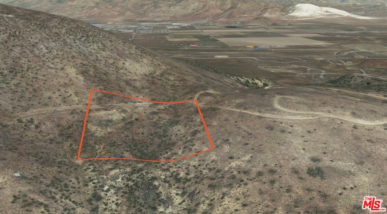 a view of a dry yard