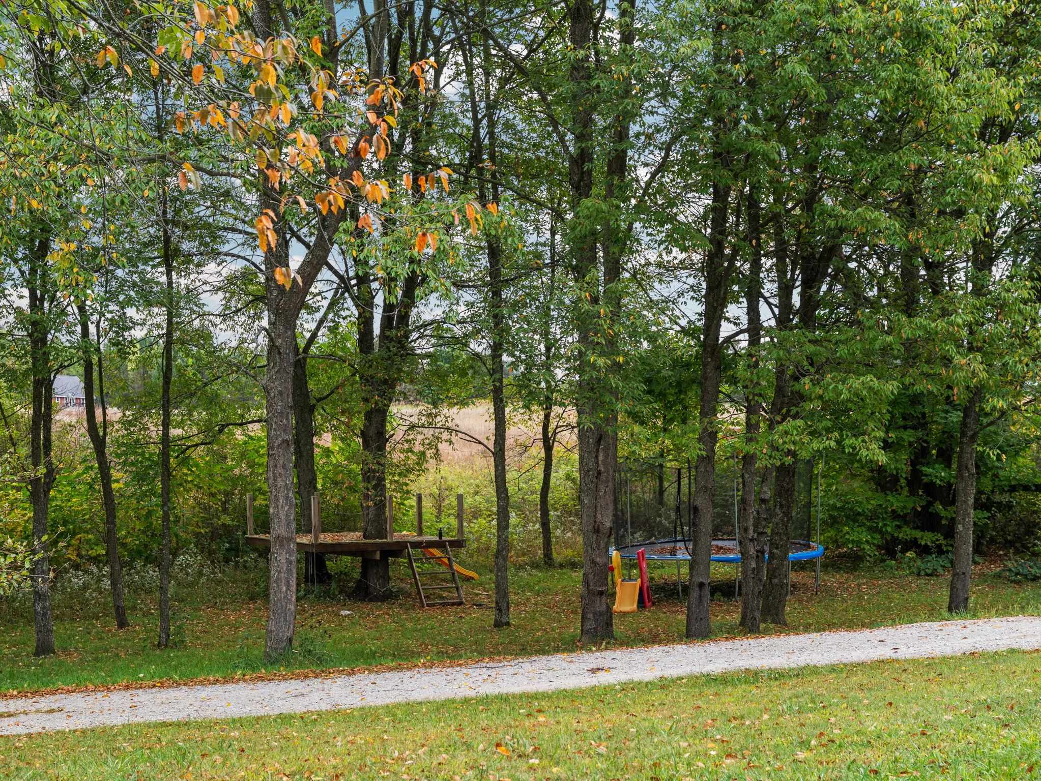 3714 North 19 Road Mesick, MI 49668 - Photo 35 of 62 1939413-60eae086-10a7-4d5c-a076-fd9af85c3ece.JPG