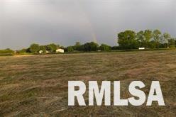 Lot 1 Coon Hunters Road Blue Grass, IA 52726 - Photo 3 of 6 Gallery Image 3