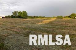 Lot 1 Coon Hunters Road Blue Grass, IA 52726 - Photo 4 of 6 Gallery Image 4