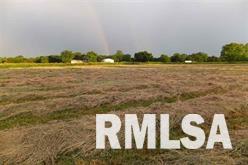 Lot 1 Coon Hunters Road Blue Grass, IA 52726 - Photo 5 of 6 Gallery Image 5
