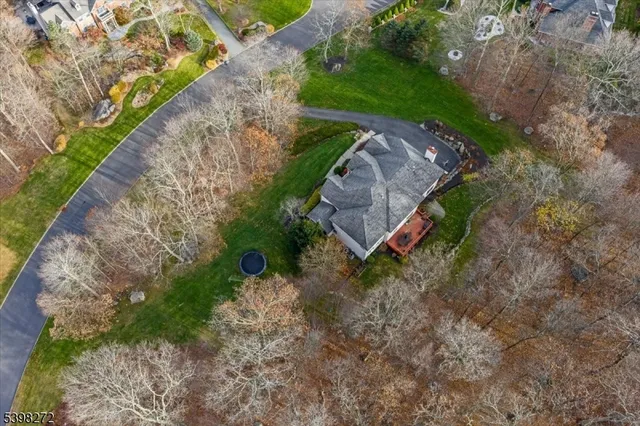 a view of a backyard with green space