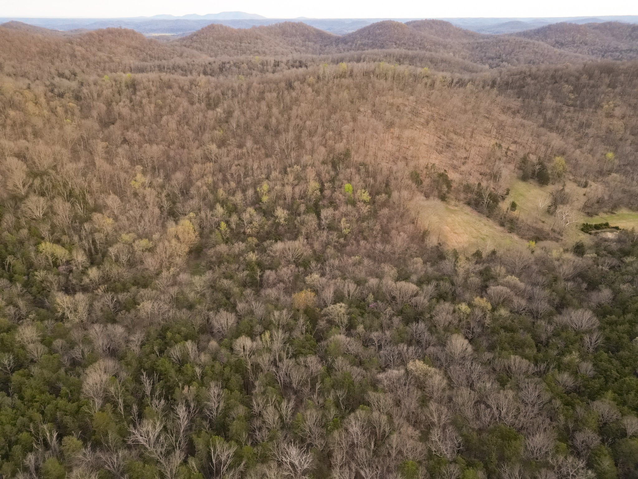 0 Rock Springs Road Watertown, TN 37184 - Photo 21 of 27 Gallery Image 21