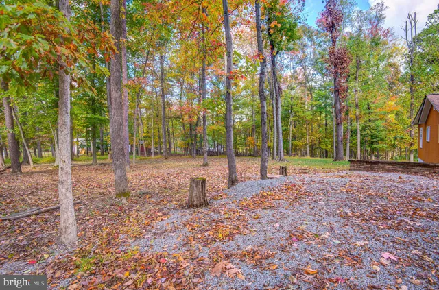 a view of outdoor space with deck and trees