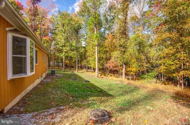 a view of yard with green space