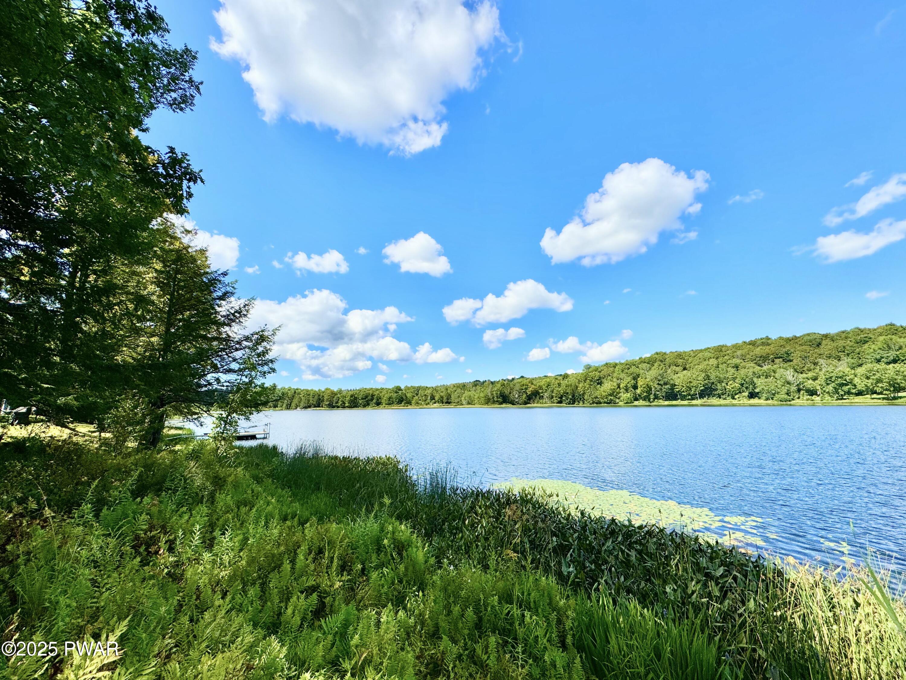 76 South Shore Road Pleasant Mount, PA 18453 - Photo 26 of 30 Gorgeous Bigelow lake