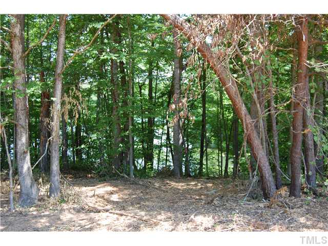 Bowmantown Road, Unit 1 Roxboro, NC 27574 - Photo 5 of 7 a view of a yard with large trees
