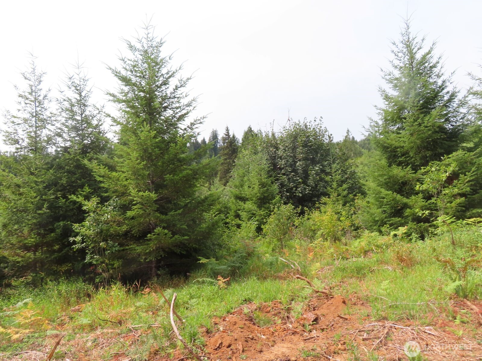 -lot H Mill Creek Road Longview, WA 98632 - Photo 16 of 27