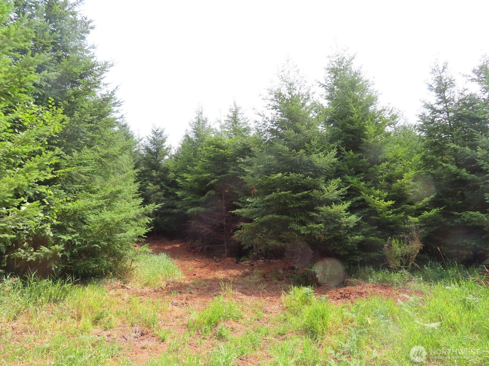 -lot H Mill Creek Road Longview, WA 98632 - Photo 2 of 27