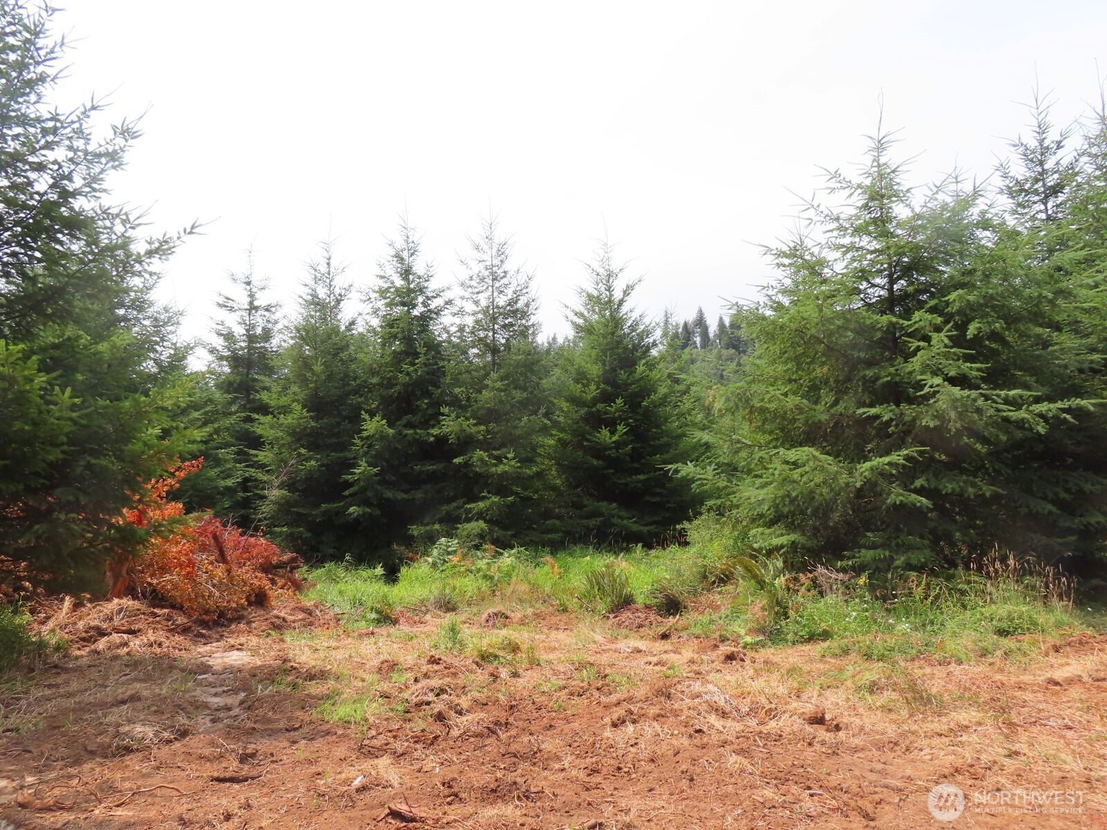 -lot H Mill Creek Road Longview, WA 98632 - Photo 9 of 27