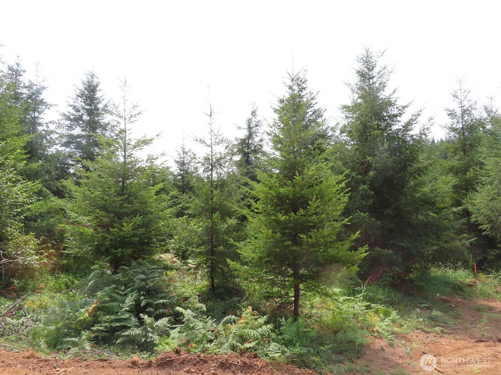 -lot H Mill Creek Road Longview, WA 98632 - Photo 10 of 27
